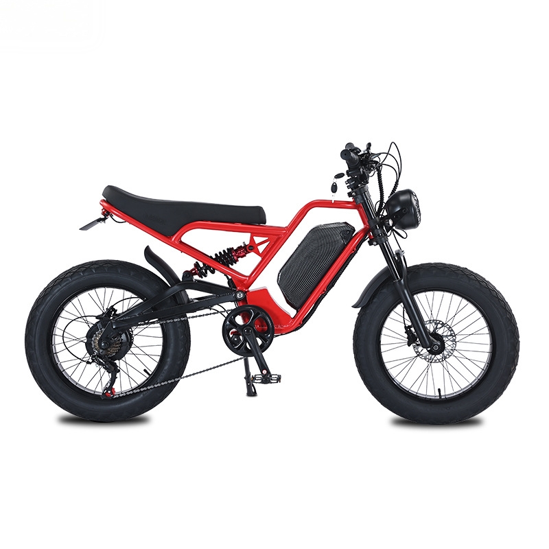 Bateria de lítio RRE QQA 13Ah, - 48V 1500W Rear Hub Motor With Battery avaliação e preço